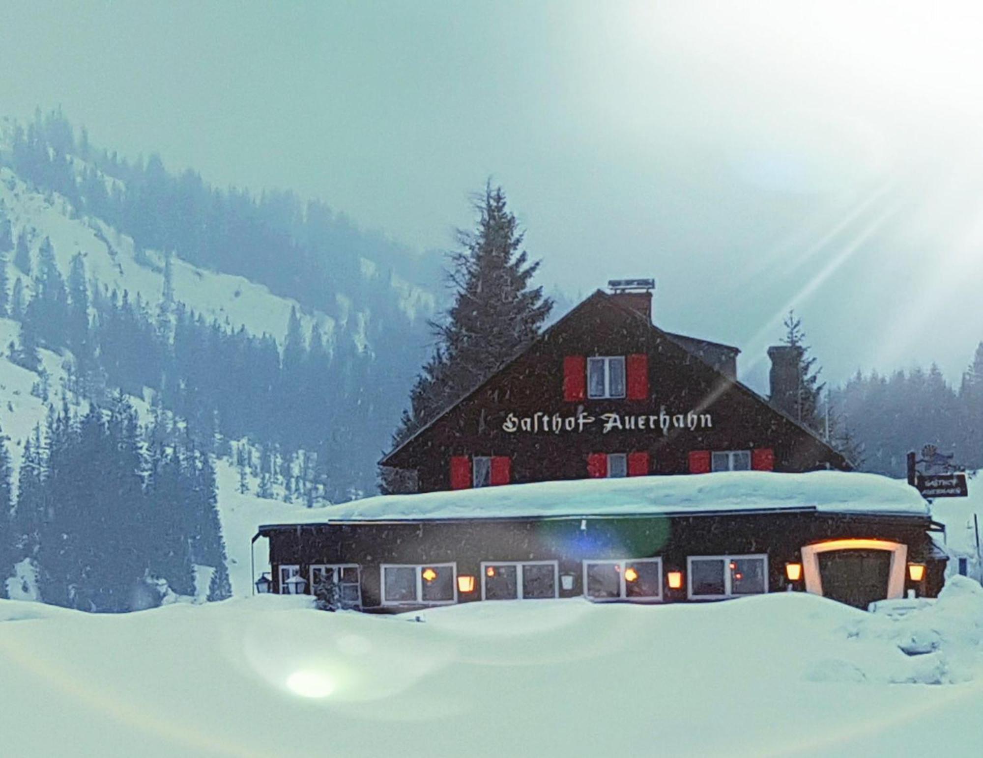 Guest house Auerhahn *