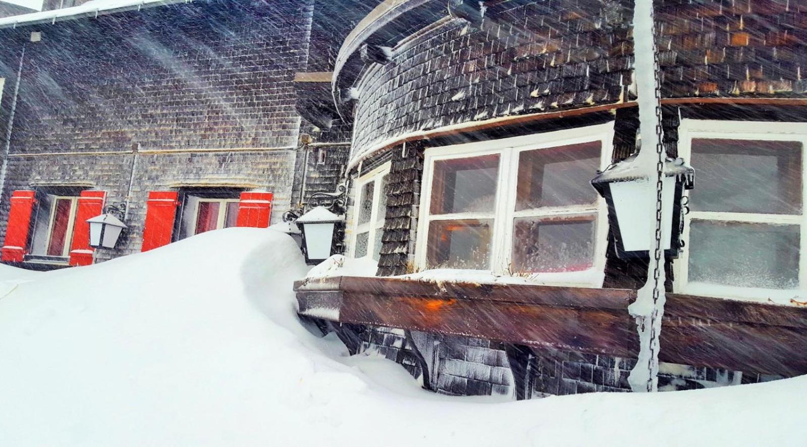 Guest house Auerhahn Lech am Arlberg